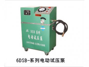 6DSB-系列3003新葡的京集团压泵